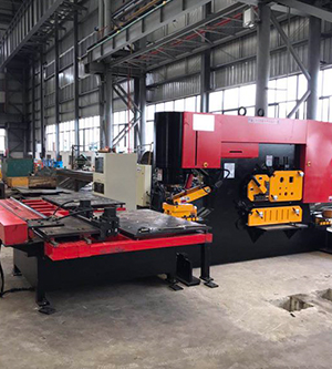 多年經驗 多年經驗